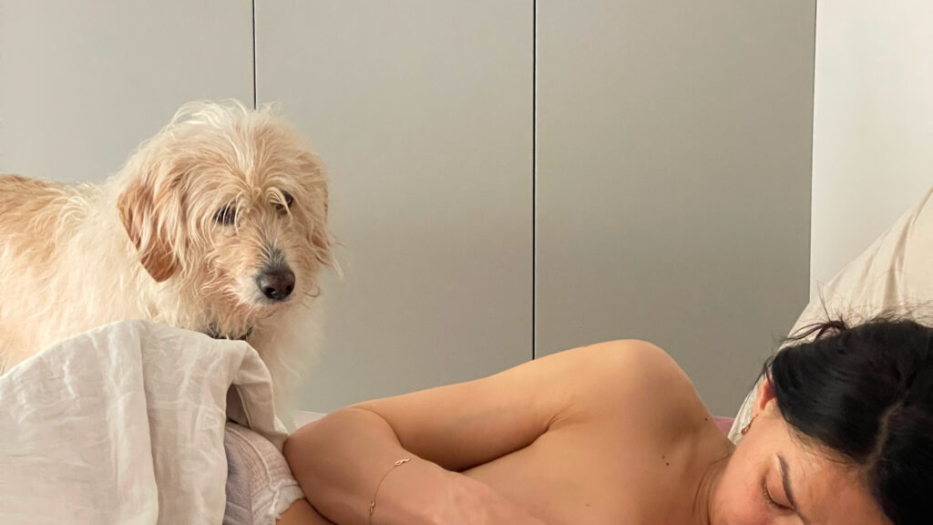 Dog watching as a new mother nurses her baby.